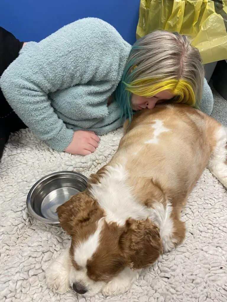 Image of my daughter Livvy and my dog Lady in the vet surgery lying on a vet bed. Livvy is comforting Lady