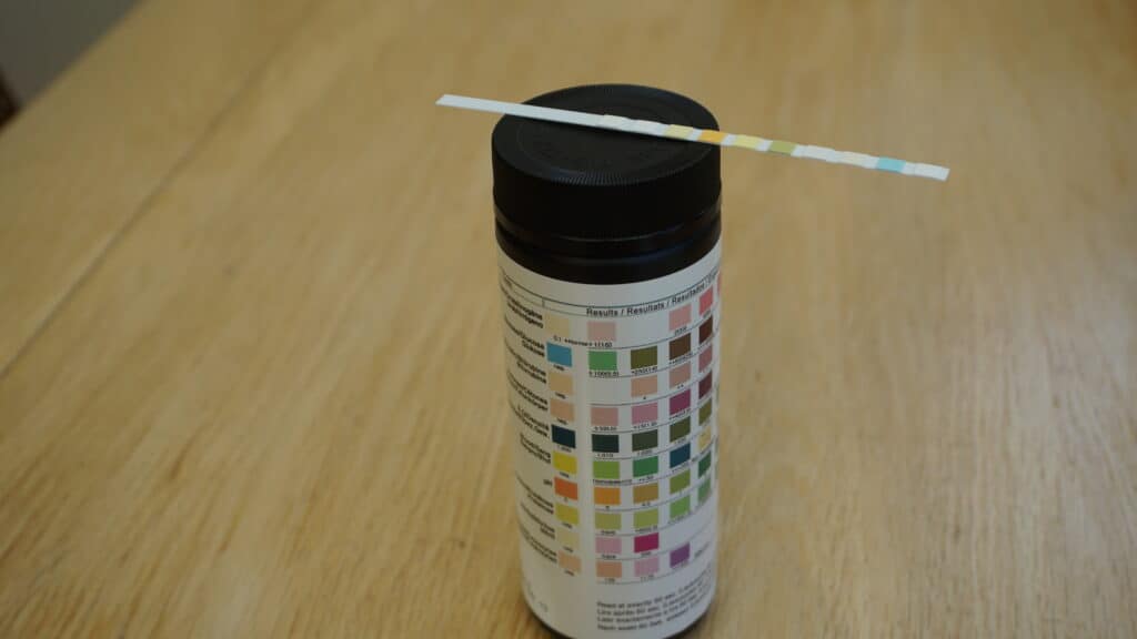 Image of a bottle of urine sample strip tests, with one strip test placed on top of the bottle