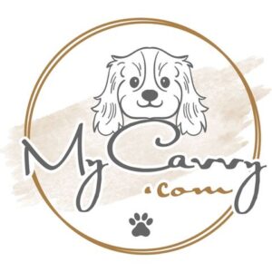 MyCavvy Logo 480 x 480 pixels. Cartoon image of a Cavalier King Charles Spaniel with My Cavvy.com written below the image and a small paw print below the text. All are enclosed with a roughly drawn circle.