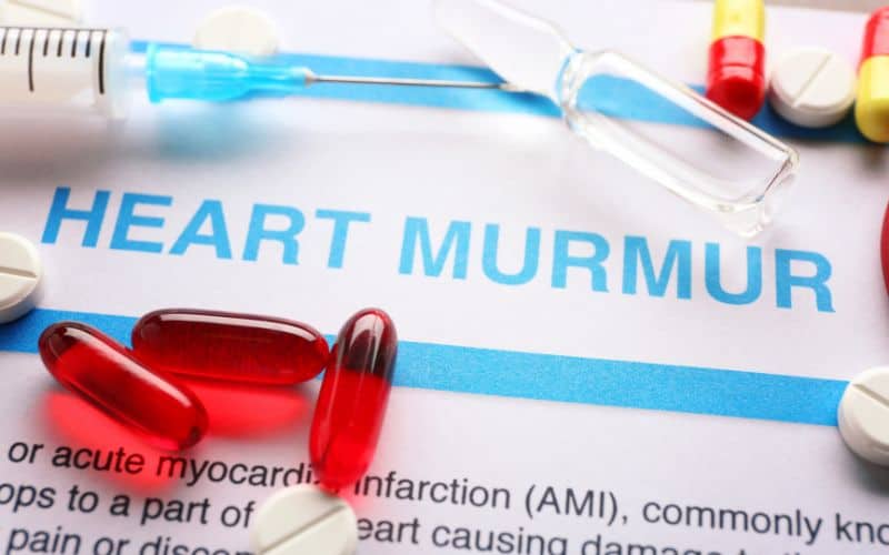 Image of medical documents with the words 'Heart Murmur' written prominently and surrounded by pills