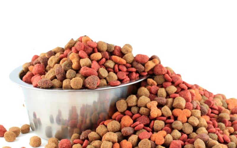 Image of too much Dog Food Overflowing out of a bowl