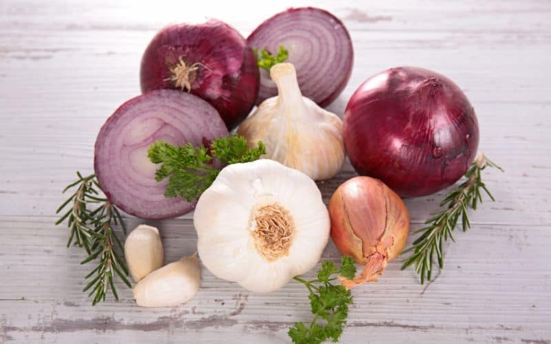 Image of garlic cloves and onions