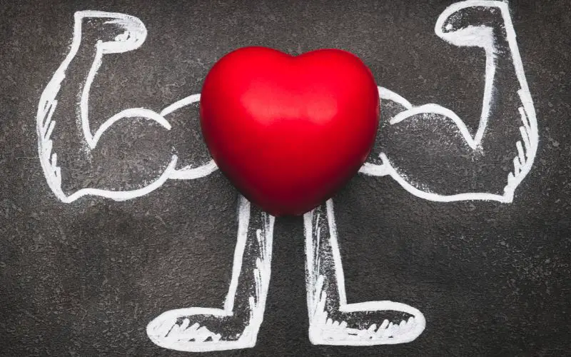 Image of a heart on a chalk drawing of muscle arms