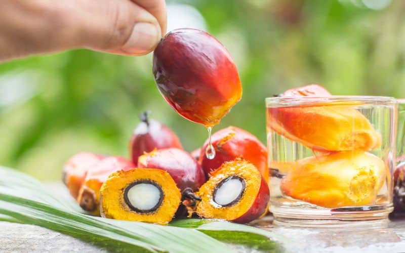 Image of palm oil fruit dripping oil