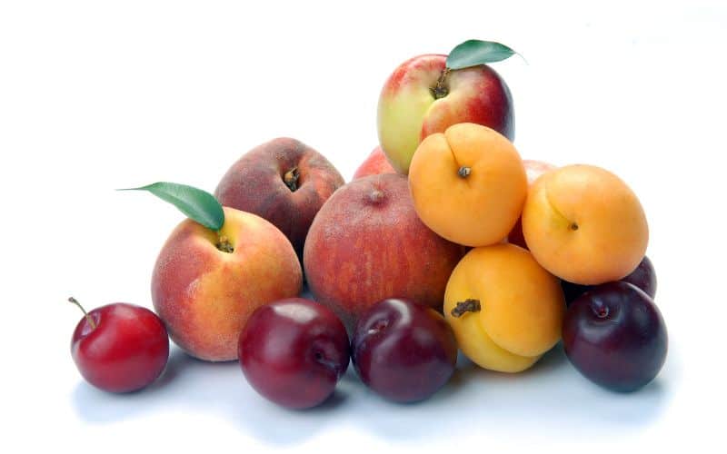 Image of Plums. Peaches, Cherries, & Apples