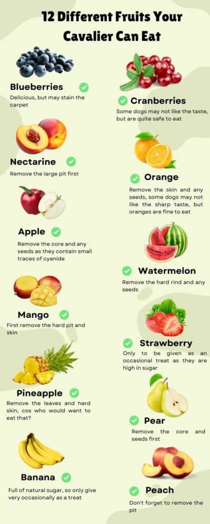Infographic 12 Different Fruits Your Cavalier Can Eat