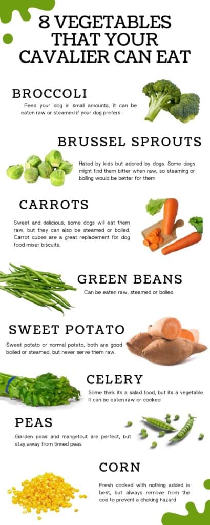 Infographic of 8 Vegetables that your Cavalier Can Eat