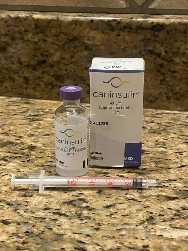 Image of a hypodermic needle next to a bottle of caninsulin dog insulin