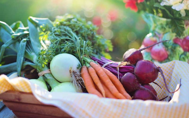 What Vegetables Can Cavaliers Eat - Image of fresh vegetables in a basket