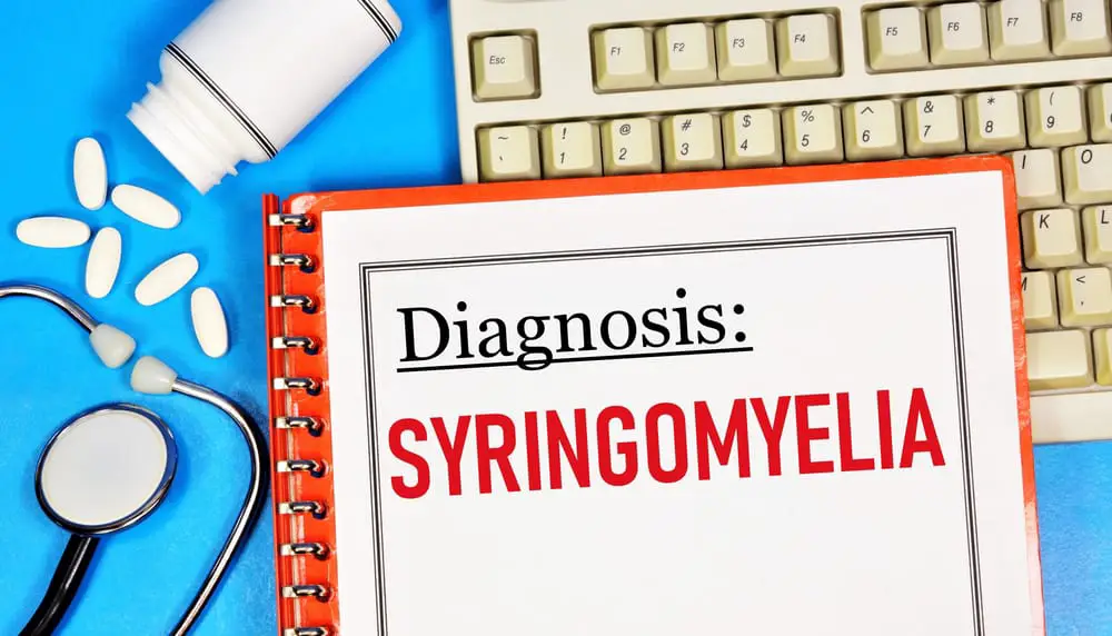 What Percentage of Cavaliers Have Syringomyelia