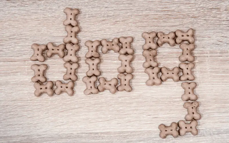 Small dog biscuits placed down to spell the word 'dog'.