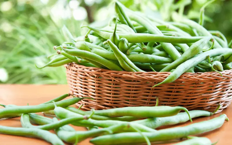 Green Beans in a Basket